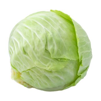 Cabbage Hard White Fresh 1Kg, IMPA Code:000115