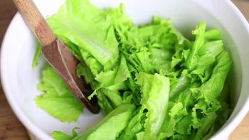 Lettuce Salad Fresh 1Kg, IMPA Code:000143