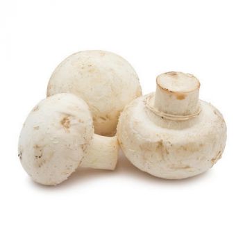 Mushroom Fresh 1Kg, IMPA Code:000149