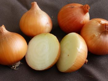 Onion Yellow Dry 1Kg, IMPA Code:000158