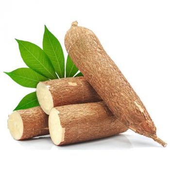 Cassava (Tapiyoka)Fresh 1Kg, IMPA Code:000138