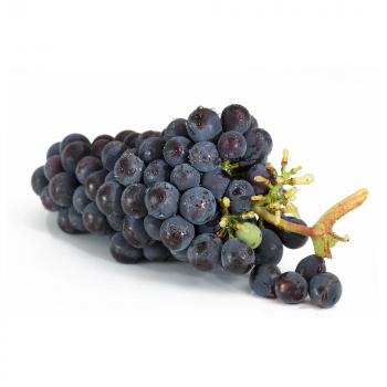 Grape Black Fresh 1Kg, IMPA Code:000526