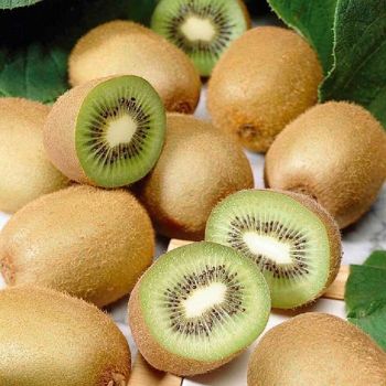 Kiwifruit Fresh 1Kg, IMPA Code:000535