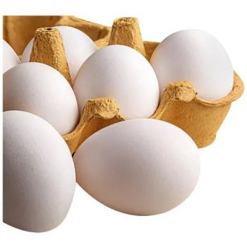 Egg Fresh Medium, IMPA Code:001701