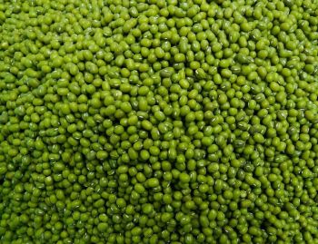 Beans Green Moong Dry 1Kgs, IMPA Code:003203