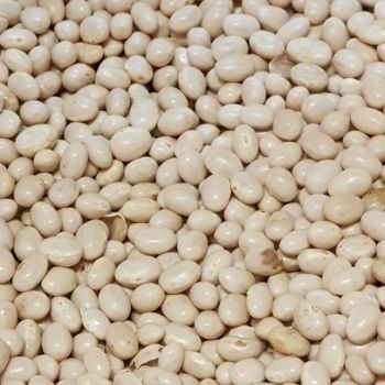 Beans Haricot Dry 1Kgs, IMPA Code:003204