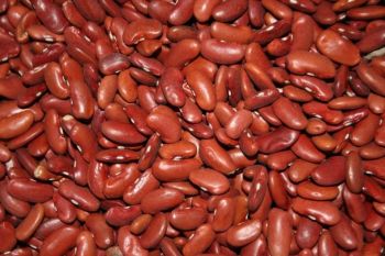 Beans Kidney Red Dry 1Kgs, IMPA Code:003206