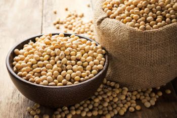 Beans Soy Dry 1Kgs, IMPA Code:003212