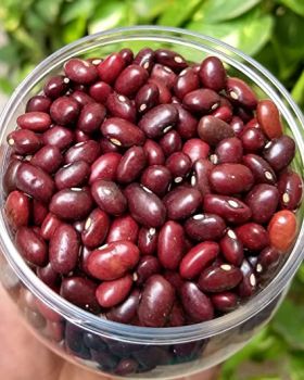 Beans Rajma Large 1Kgs, IMPA Code:003208