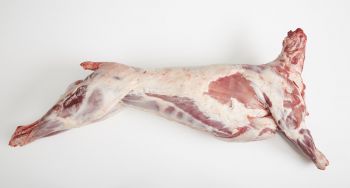 Lamb Carcass, IMPA Code:007421