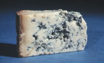 Cheese Blue 100Grms/Pkt, IMPA Code:002044